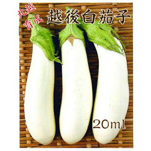 kz琬 z㔒֎q 20ml ؃^l kz_ ؎q ؂̃^l Ȃ iX