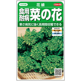 サカタ交配 食用耐病 菜の花 花娘 約800粒 実咲野菜タネ サカタのタネ 葉菜 種子