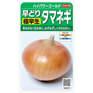 TJ^̃^l ^}lM ǂɑnCp[S[h 330 ؃^l t q ʂ˂ ʔK ʃlM