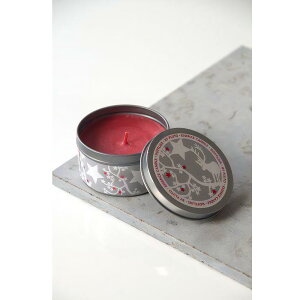 XEF[fA@Lh k kG݁@giJC@肩@pC@v[g@_fUC