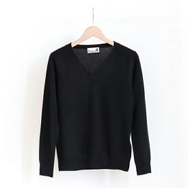 Michel Beaudouin ミッシェルボードワン100% Cashmere V-neck sweater Noirカシミア Vネックセーター ブラック [Business]
