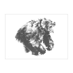 Teemu Jarvi e[EB |XgJ[h A6 ( Roaring bear / qO} )ykG݁z