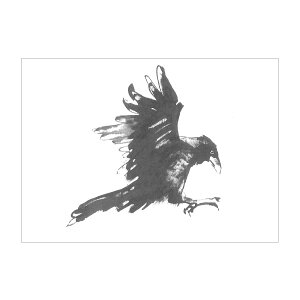 Teemu Jarvi e[EB |XgJ[h A6 ( Raven / ^KX )ykG݁z