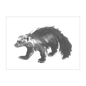 Teemu Jarvi e[EB |XgJ[h A6 ( Wolverine / NY )ykG݁z