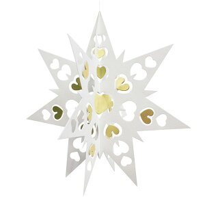 Livingly rO[ y[p[r[ ( X^[ / 26cm ) ykG݁z