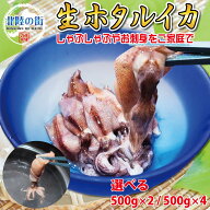 ホタルイカ 刺身用 しゃぶしゃぶ 生 【 大型ホタルイカ 子持ち入り 1kg (500g×2) / 2kg(500g×4) セット…