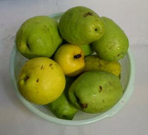 y킯zyszGߌ ̎ 2kg