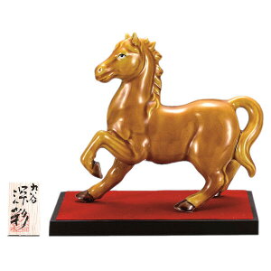 J xu [6.5 y14z[񂹏i]