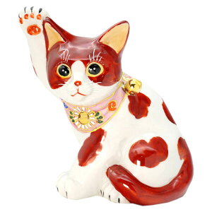 J LiE^Lj5.5 ԃu` 10012281