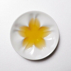 J 珬MizCg5jhiracle Ђ炭 HSK-05-WH