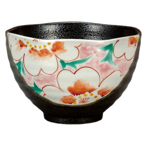 Vc JĒИqiђqjԖ sNK9-501