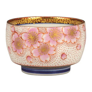 cǑ JĂۂ E肳K9-1219