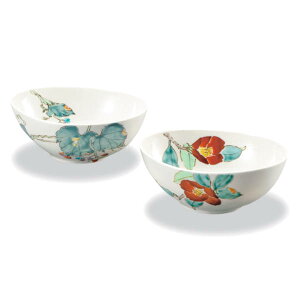 R JăyA ԂǂE AP8-0256