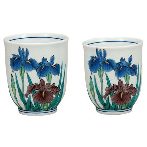 J gۂ݁ivwہjK9-737 [hV̓Mtgv[g]