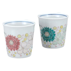 J yA}OJbv Ԃ͂K9-1038