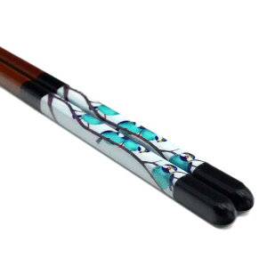 �x�q ��J�F�G�ዷ�h�� �R���i�� 23cm�jIC-05B