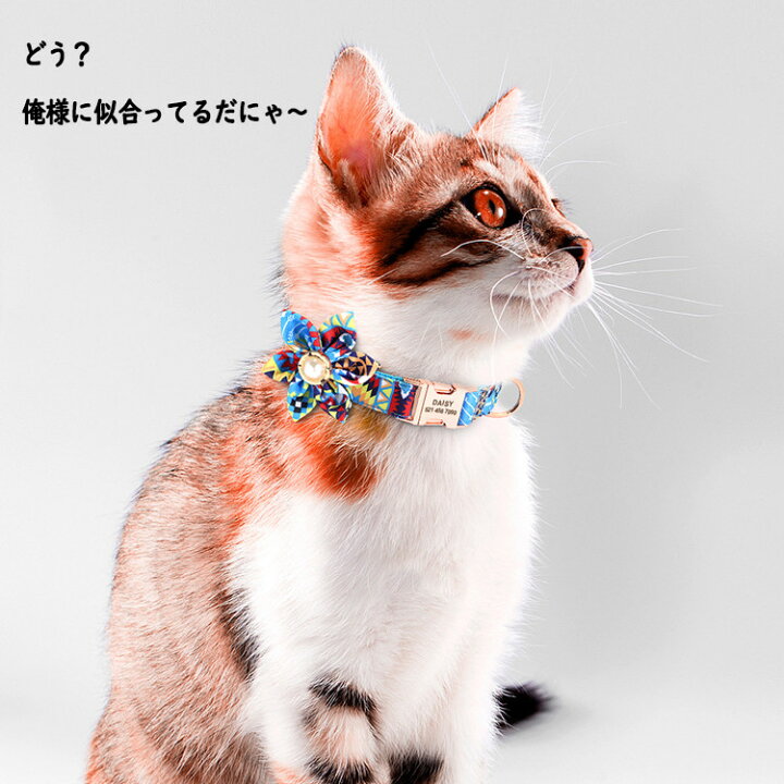 楽天市場】【送料無料】犬の首輪 犬首輪 犬 猫 猫用品 軽い 3色＆4  