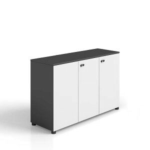 キャビネット 書類キャビネット リングキャビネット 収納棚 ダイヤル錠式ロック アジャスター付き 扉付き収納 シンプル ホワイト ナチュラル 車上渡し 階上対応不可