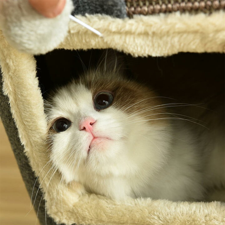 【送料無料】キャットタワー スリム 麻紐 爪とぎ 猫タワー おしゃれ 可愛い 省スペース 頑丈 据え置き キャット 猫 タワー 大型 大型猫 安定 頑丈 多頭飼い 子猫 シニア 組立不要 北辰商店 キャットタワースリム麻紐爪とぎ 猫タワー省スペース 頑丈 据え置きキャット安定