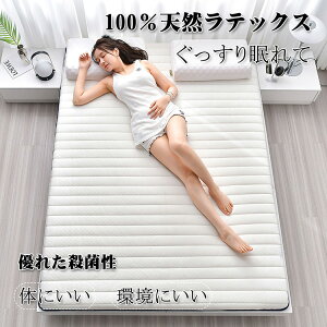 xbh}bgX ebNXNbV e@ʋC@zCg ~zc M[ 100×200×5cm  VRebNX QSn ̈U ϋv VRf k