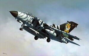 yzzr[@͌^ԁ@ԁ@[VOJ[ zr[{X80354 tornado ecr 148 hobby boss