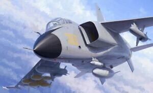 yzzr[@͌^ԁ@ԁ@[VOJ[ tCOt@C^[vX`bNfgyb^[Lbgjh7a flying leopard fighter 172 plastic model kit trumpeter