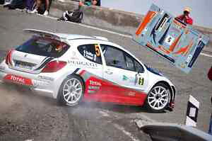 yzzr[@͌^ԁ@ԁ@[VOJ[ fJ[vW[JiA[decals 143 peugeot 207 s2000 5 bouffier rallye irc des canaries 2011 ncm020