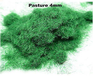 �y���������z�z�r�[�@�͌^�ԁ@�ԁ@���[�V���O�J�[ wws static grass paturage grass 100g 4mm
