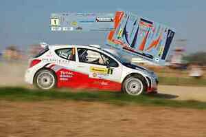 yzzr[@͌^ԁ@ԁ@[VOJ[ fJ[vW[[decals 143 peugeot 207 s2000 1 bouffier rallye irc du barum 2011 ncm020d