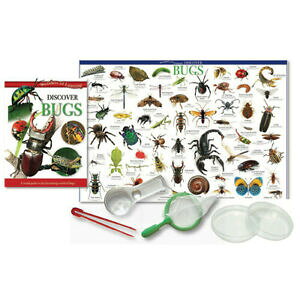 yzzr[@͌^ԁ@ԁ@[VOJ[ {bNXZbgwonders of learning decouvre petites betes boite set