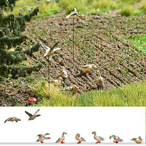 yzzr[@͌^ԁ@ԁ@[VOJ[ zfubVoche selvatiche ho 8 pezzi 187 model busch