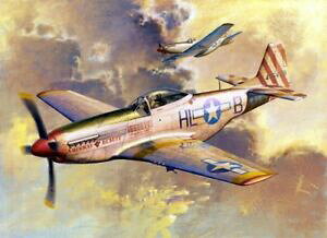 yzzr[@͌^ԁ@ԁ@[VOJ[ X^OvX`bNfgyb^[Lbgp51d mustang fighter 132 plastic model kit trumpeter