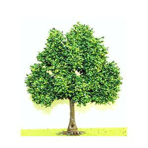 �y���������z�z�r�[�@�͌^�ԁ@�ԁ@���[�V���O�J�[ �c���[1 platane 13 cm tronco in plastica er decor er2425