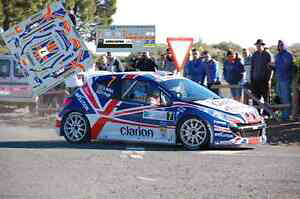 yzzr[@͌^ԁ@ԁ@[VOJ[ fJ[vW[EBNX[JiAdecals 143 peugeot 207 s2000 7 gwilks rallye irc iles canaries 2011 ncm019