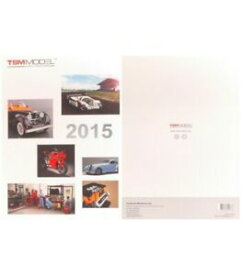 【送料無料】ホビー　模型車　車　レーシングカー スケールミニチュアcatalogo true scale miniature 2015 pag62