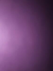 yzzr[@͌^ԁ@ԁ@[VOJ[ ^[ggbN[Xtortue course piste