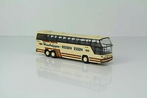 �y���������z�z�r�[�@�͌^�ԁ@�ԁ@���[�V���O�J�[ uu�g���x����rietze neoplan cityliner n1163 hessbruugen ? voyages manger 187 ri 511