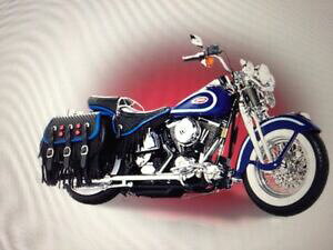 yzzr[@͌^ԁ@ԁ@[VOJ[ n[[_rbh\weCWXvK[XP[fharley davidson heritage springer echelle 110 en metal modele