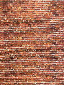 yzzr[@͌^ԁ@ԁ@[VOJ[ }`g[118 multi tone walling 5 feuilles portrait 0193