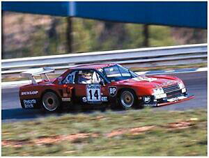 �y���������z�z�r�[ �͌^�� ���f���J�[ ���f���J�[�X�J�C���C��aoshima 124 the model car 112 nissan r 30 skyline turbocharami 9 hours