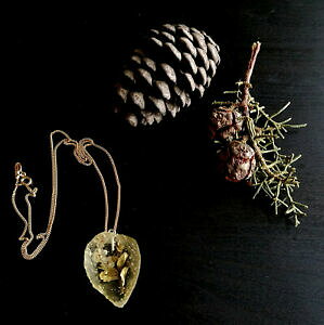 yzWG[EANZT[ }h[GtBIfBJ|KRvA[mAjFTIi^[R[iVIhmandorla e fiori di camporegalo compleanno,anniversario,natale,