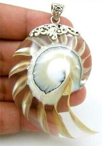 �y���������z�W���G���[�E�A�N�Z�T���[ �m�[�`���X�V�F���X�^�[�����O�V���o�[transparent nautilus shell 925 sterling silver pendant handmade jewelry sb050r