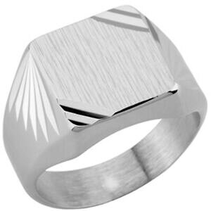 �y���������z�W���G���[�E�A�N�Z�T���[ �v�����V���o�[�z�[�X�J�[��promo 55, chevaliere argent karl