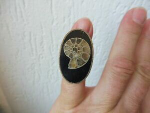 yzWG[EANZT[ TCYOJ^cAjbgbelle, vieux, taille xxl anneau, 835 argent avec onyx, escargot, ammonite