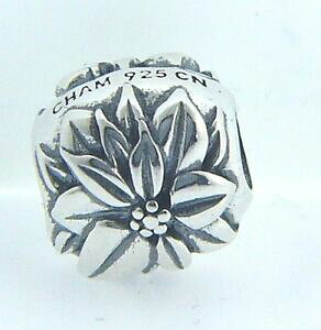 �y���������z�W���G���[�E�A�N�Z�T���[ �`���~���A�V���o�[�X�^�[�����O�|�C���Z�`�A�u�����b�N�i�C��20103213 chamilia argent sterling decembre poinsettia breloque neuf