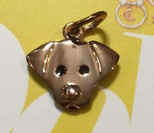 yzWG[EANZT[ uh[h[h|glabrador my true dodo pomellato