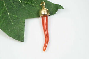 yzWG[EANZT[ RlbgCRbb\ffBelIAWFgvbJ[gIVIhcornetto in corallo rosso del mediterraneo, argento 925 placcato oro, ciond