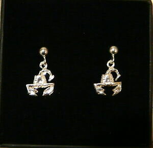 yzWG[EANZT[ AQg~W~XR[sICOX^[OVo[XR[sI[lIbL[jscorpione orecchini in argento 925 millesimi scorpion earrings sterling 