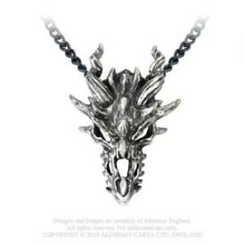 【送料無料】ジュエリー・アクセサリー ゴシックドラゴンスカルペンダントドラゴンスカルジュエリーゴシックpendentifs gothique crane dragon pendants dragon skull bijoux alchemy gothic