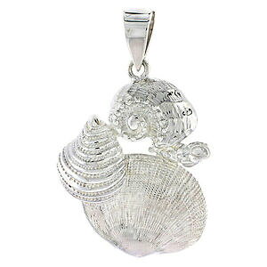 yzWG[EANZT[ Vo[X^[OVFy_gC^A{bNXargent sterling flawless qualite mollusk coquillages pendentif, 18 italian box